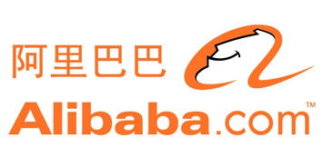 東莞電商培訓(xùn)機(jī)構(gòu)選擇指南 如何挑選適合你的優(yōu)質(zhì)課程